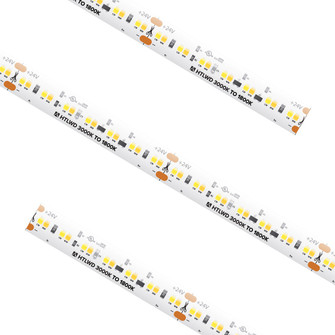 High Output High Output High Density Warm to Dim Tape Light in White (303|HTLWD301816)