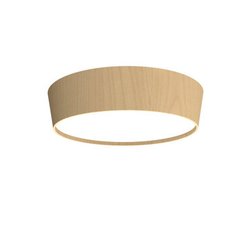Conical LED Ceiling Mount in Maple (486|585LED34)