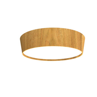 Conic LED Ceiling Mount in Louro Freijo (486|5109LED09)