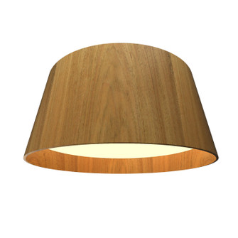 Conical LED Ceiling Mount in Louro Freijo (486|5099LED09)