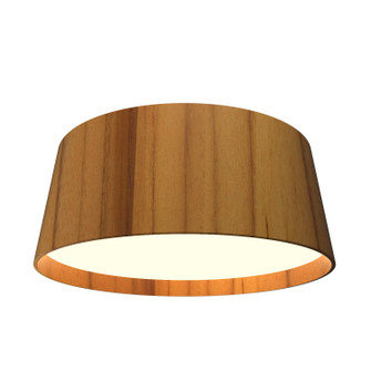 Conical LED Ceiling Mount in Teak (486|5098LED12)