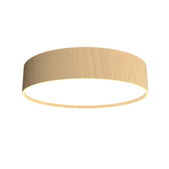 Cylindrical LED Ceiling Mount in Maple (486|504LED34)