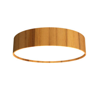 Cylindrical LED Ceiling Mount in Teak (486|5012LED12)