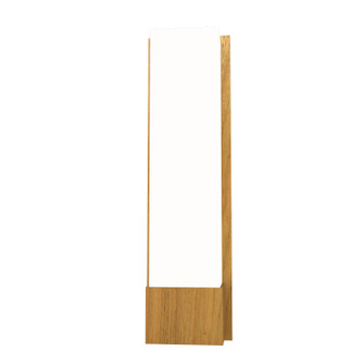 Clean Two Light Wall Lamp in Louro Freijo (486|46509)