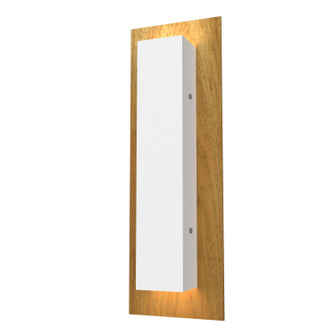Clean Two Light Wall Lamp in Louro Freijo (486|43709)
