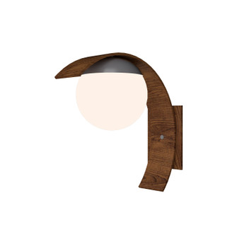 Sfera One Light Wall Lamp in Imbuia (486|41606)