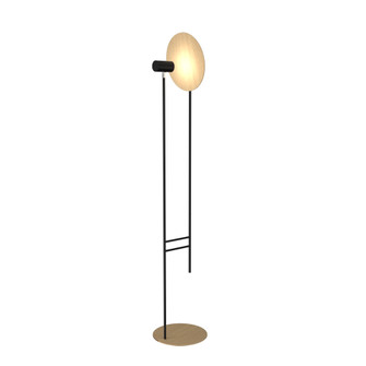 Dot Two Light Floor Lamp in Maple (486|312634)