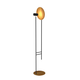 Dot Two Light Floor Lamp in Teak (486|312612)