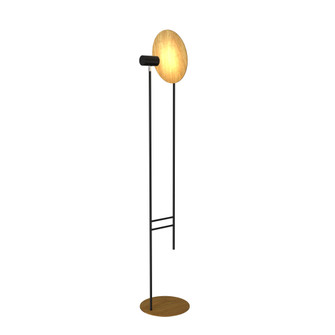 Clean Two Light Floor Lamp in Louro Freijo (486|312609)