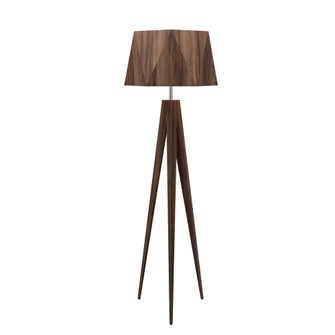 Facet One Light Floor Lamp in American Walnut (486|303418)