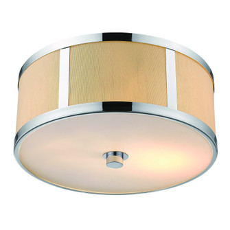 Butler Two Light Pendant in Polished Chrome (106|TP7599)