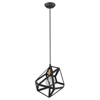 Hedron One Light Pendant in Matte Black (106|TP30080BK)