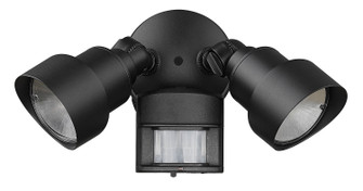 LED Floodlights LED Floodlight in Matte Black (106|LFL2BKM)