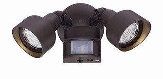LED Floodlights LED Floodlight in Architectural Bronze (106|LFL2ABZM)