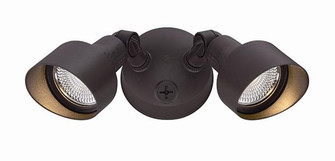 LED Floodlights LED Floodlight in Architectural Bronze (106|LFL2ABZ)