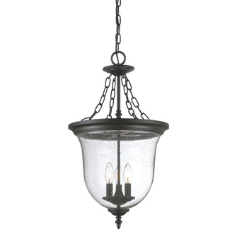 Belle Three Light Hanging Lantern in Matte Black (106|9316BK)