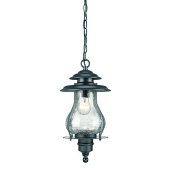 Blue Ridge One Light Hanging Lantern in Matte Black (106|8206BK)