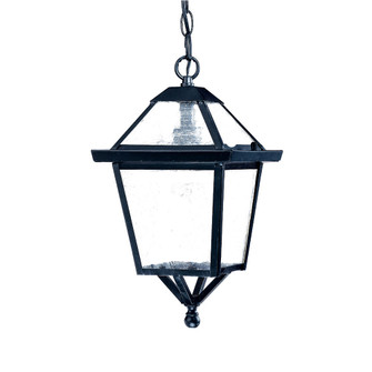 Bay Street One Light Hanging Lantern in Matte Black (106|7616BK)
