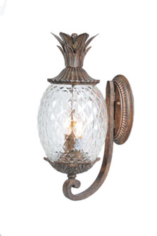 Lanai Two Light Wall Sconce in Black Coral (106|7501BC)