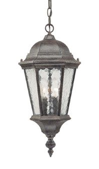 Telfair Two Light Hanging Lantern in Black Coral (106|5516BC)