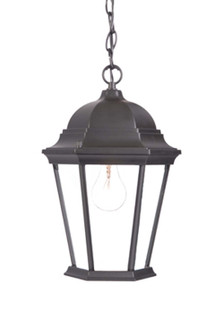 Richmond One Light Hanging Lantern in Matte Black (106|5206BK)
