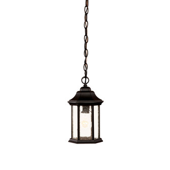Madison One Light Hanging Lantern in Matte Black (106|5185BKSD)