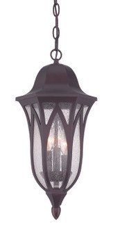 Milano Three Light Hanging Lantern in Architectural Bronze (106|39816ABZ)