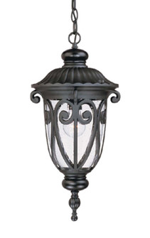 Naples One Light Hanging Lantern in Matte Black (106|2116BK)