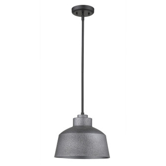 Barnes One Light Pendant in Gray (106|1655GY)