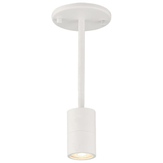 Cafe Dual Mount LED Wall Or Ceiling SpotLight in Matte White (18|72010LEDDLPMWH)