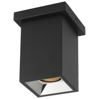 I-Lite LED SpotLight in Black (18|50015LEDDLPBL)
