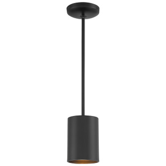 Pilson LED Pendant in Matte Black (18|29000LEDDLPMBL)