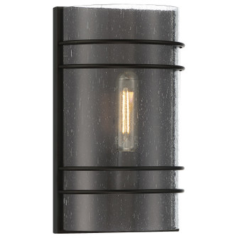 Cassi LED Wall Sconce in Matte Black (18|20416LEDDLPMBLSDG)