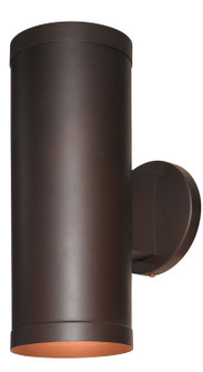 Poseidon Dual Two Light Wallwasher in Bronze (18|20364BRZCLR)