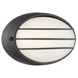 Cabo LED Bulkhead in Black (18|20280LEDDMGBLOPL)