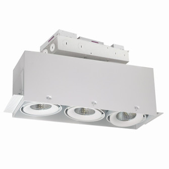 Mls Trimless LED Trimless 3-Head Housing in White (167|NMRTLG13D6L1930W)