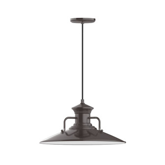 Homestead One Light Pendant in Architectural Bronze (518|PEB14351C20G06)