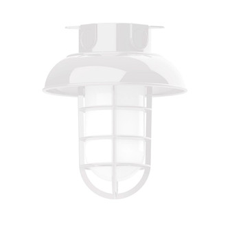 Vaportite One Light Flush Mount in White (518|FMC06044G07)