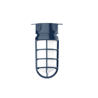 Vaportite One Light Flush Mount in Navy (518|FMC05050G07)