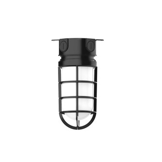 Vaportite One Light Flush Mount in Black (518|FMC05041G07)