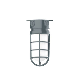 Vaportite One Light Flush Mount in Slate Gray (518|FMC05040G07)