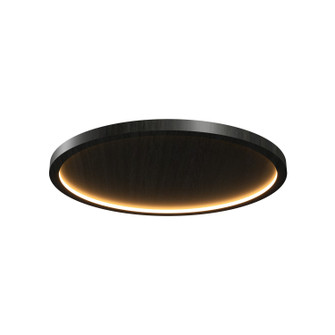 Naiá LED Ceiling Mount in Charcoal (486|5095LED44)