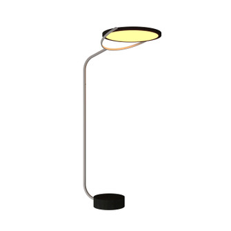 Naia LED Floor Lamp in Charcoal (486|3040LED44)