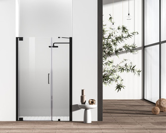 Carson Shower Door in Matte Black (173|SD4044872MBK)