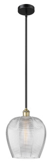 Edison One Light Mini Pendant in Black Antique Brass (405|6161SBABG46212)