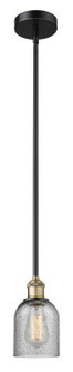 Edison One Light Mini Pendant in Black Antique Brass (405|6161SBABG257)
