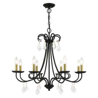 Daphne Eight Light Chandelier in Black with Antique Brass (107|4087804)