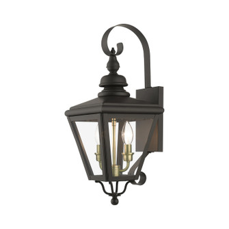 Adams Two Light Outdoor Wall Lantern in Bronze with Antique Brass (107|2737207)