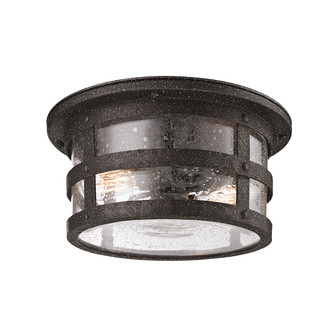 Barbosa Two Light Flush Mount in Aged Pewter (67|C3310APW)