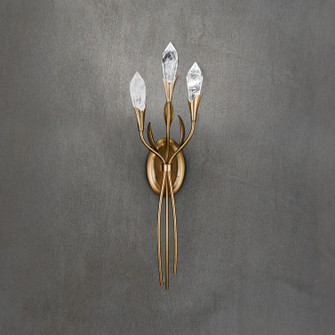 Secret Garden LED Wall Sconce in French Lace (53|S242832OH)